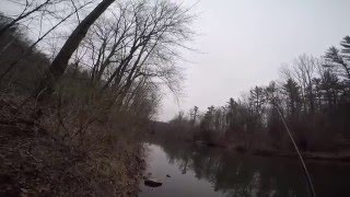 Winter Fishing Swatara Creek [upl. by Mozart]