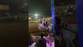 Feria del caballo 2024 [upl. by Latoyia]