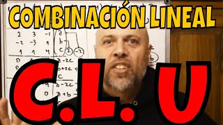 🔴▶ COMBINACIÓN LINEAL DE VECTORES  ESPACIOS VECTORIALES [upl. by Borreri12]