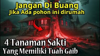 BANYAK YANG BELUM TAU  4 Tanaman Sakti Yang Memiliki Tuah Gaib Yang Kuat [upl. by Ystap]