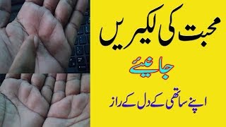 Palm line on Your Hand In Urdu  Palmistry by Natural health Tips [upl. by Ednyl997]