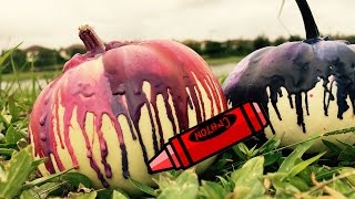 DIY Crayon Dripping Pumpkins  Caitis Corner [upl. by Nahs]