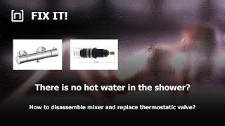 How to replace thermostatic valve in the shower mixer [upl. by Gersham953]