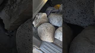 Free rocks for our garden rocks garden greeningthedesert [upl. by Kuehnel]