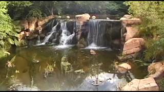 Sun City Vacation Travel Video Guide [upl. by Dranoc862]