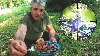 Shooting And Cooking Pigeon Breast In The WOODS MUST WATCH hunting outsidecooking pigeons [upl. by Wandis164]