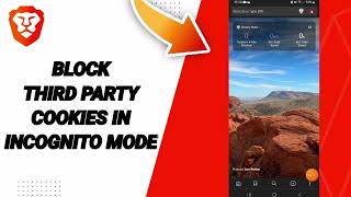 How To Block Third Party Cookies In Incognito Mode On Brave Private Web BrowserVPN App [upl. by Tillie506]