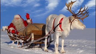 Best Santa Claus Reindeer Rides 🦌🎅 Lapland Father Christmas in Rovaniemi Arctic Circle Finland [upl. by Aryajay]