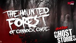 The Haunted Forest of Cannock Chase  Staffordshire UK [upl. by Becket148]