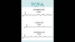 PUFA shorts shortsvideo short [upl. by Claretta]