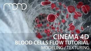 Cinema 4D  Blood cells flow tutorial part 1 [upl. by Silloc]