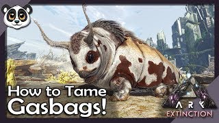 How To Tame Gasbags  ARK Extinction [upl. by Ahsitra401]