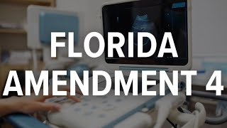 Beyond the Ballot Heres what Amendment 4 means for abortion rights in Florida [upl. by Trah]