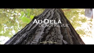 Audelà de notre vue documentaire [upl. by Venezia]