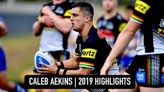 Caleb Aekins  2019  NSW Cup Highlights [upl. by Leipzig321]