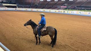 Nutrena Ride the Pattern Clinic Ranch Riding [upl. by Partan]