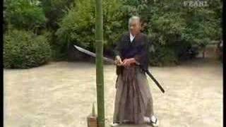 Great tameshigiri by Ueki sensei  Legendary Budo Masters [upl. by Aroz]