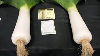 2017 pot leek society show [upl. by Larianna]