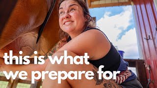 This is what we prepare for Homesteading after the Hurricane  VLOG [upl. by Spillar]