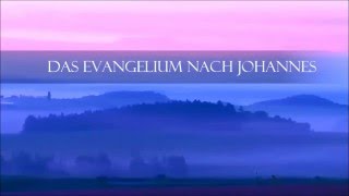 Das Evangelium nach Johannes die Bibel Jesus Christus Gott Auferstehung Himmelreich [upl. by Salesin554]