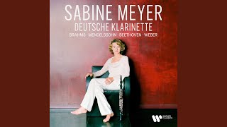 Variations on a Theme from Silvana in B Minor Op 33 J 128 Variation I Arr Schottstädt [upl. by Abernathy]