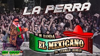 La Perra  Mi Banda El Mexicano de Germán Román  Tierra Blanca Guanajuato [upl. by Aniuqahs821]