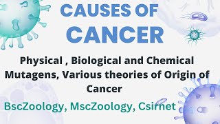 Causes of Cancer  Physical Chemical and Biological Bsc Msc Csirnet Gate Oncology Cancer [upl. by Enneirb]