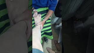 Pedicure step [upl. by Sadella]