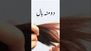 Split hair herbal remedyhaircarehairfallsplitendsazeemicolourtherapyandhealth [upl. by Yahsel938]