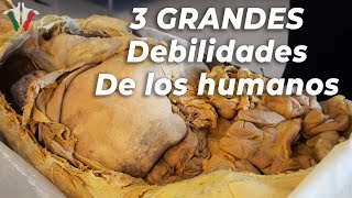 Las 3 mayores debilidades del cuerpo [upl. by Stanwin]