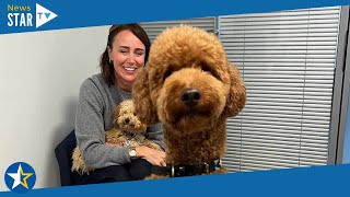 Keeley Hawes introduces huge teddy bear dog she and famous husband adopted to fans [upl. by Marisa]