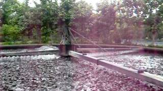 Trickling Filter in Dhinapur [upl. by Conyers]