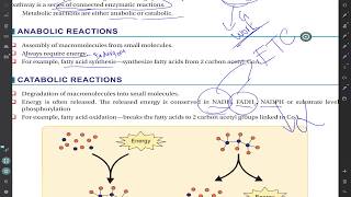 Introduction to Metabolism  Live stream [upl. by Rennoc]