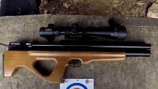 Artemis P15 reviewBig Dans Airguns [upl. by Timi]