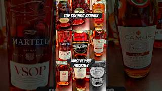 Top cognac brands of the world cognac lvmh martell courvosier camus remymartin [upl. by Muldon]