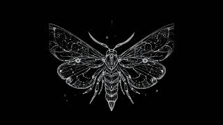 scull  moth [upl. by Inobe]