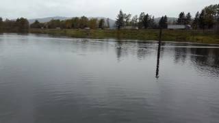 RC Hydroplane full speed hull test [upl. by Eelyam123]