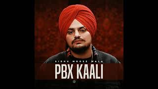 SIDHU MOOSE WALA NEW SONG PBX KAALI sidhumoosewala [upl. by Early39]