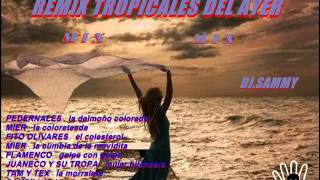 REMIX TROPICALES DEL AYER MIX DJ SAMMY [upl. by Igic771]