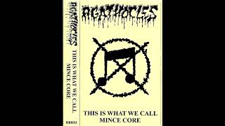 Agathocles  This Is What We Call Mincecore 2013 grindcore mincecore punk goregrind grind hardcore [upl. by Aarika846]