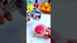 Heavy Duty  Hand Press Fruit Juicer 2024 [upl. by Acceb422]