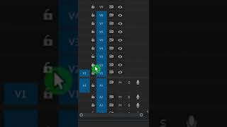 USE TRACK LOCK  Premiere Pro Shorts [upl. by Eolc]