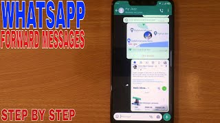 How to Forward Multiple Messages in WhatsApp on PC [upl. by Snodgrass614]