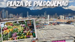 Plaza de Mercado Paloquemao  el mercado minorista más grande de Bogotá🍓🍍🥑🍌🇨🇴 [upl. by Gareth]