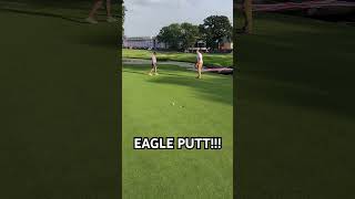 PUTT for EAGLE 🦅 Will It Dink viral viralshort golf golfer eagleputt TheBelfry [upl. by Ellehsal]