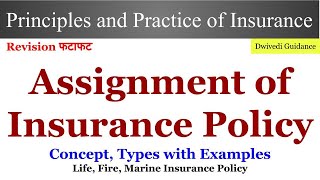 Assignment of Insurance Policy Assignment of Policy Assignment of life Insurance Policy BCom [upl. by Sankaran397]