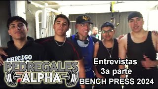 Benchpress Pedregales Alpha Gym 2024 3a parte [upl. by Hooke]