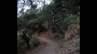 Castleridge Trail Pleasanton CA [upl. by Eelessej662]