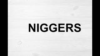 How To Pronounce Niggers [upl. by Acirtap]