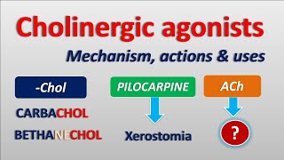 Cholinergic agonists  Mechanism actions side effects amp uses [upl. by Yrreiht]